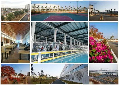 智能化果園式工廠 斯沃德教育科技誠(chéng)邀技術(shù)開發(fā)精英共筑未來(lái)